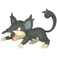 Rattata d'Alola