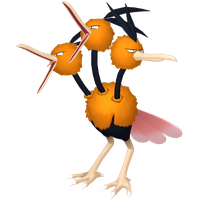 Dodrio