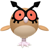 Hoothoot
