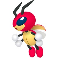 Coxyclaque