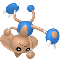 Kapoera