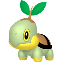 Tortipouss
