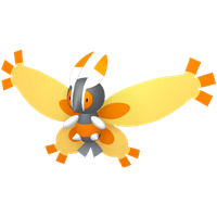 Papilord