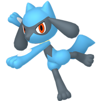 Riolu