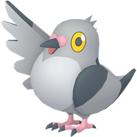 Poichigeon