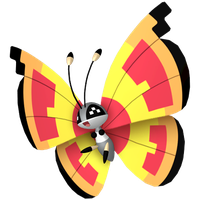 Prismillon Motif Zenith