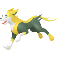 Fulgudog