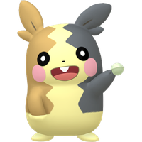 Morpeko Morpeko