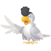 Tapatoès Plumage Blanc