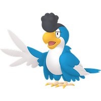 Tapatoès Plumage Bleu