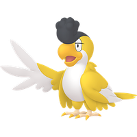Tapatoès Plumage Jaune