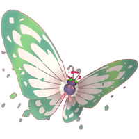 Papilusion Chromatique