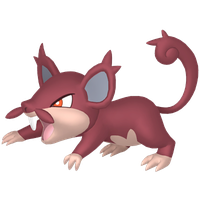 Rattata Chromatique