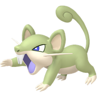 Rattata Chromatique