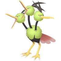 Dodrio Chromatique