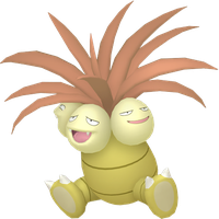 Noadkoko Chromatique