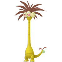 Noadkoko Chromatique