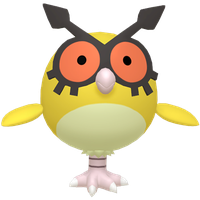 Hoothoot Chromatique