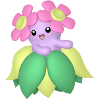 Joliflor Chromatique