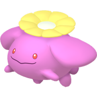Floravol Chromatique