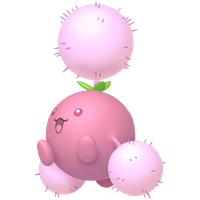 Cotovol Chromatique