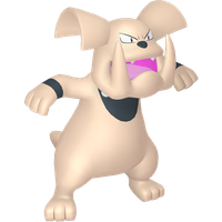 Granbull Chromatique