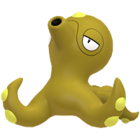Octillery Chromatique