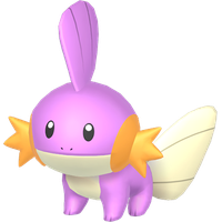 Gobou Chromatique