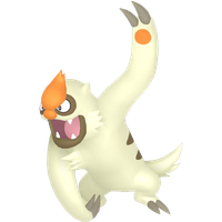 Vigoroth Chromatique