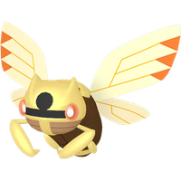 Ninjask Chromatique
