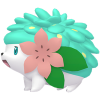 Shaymin Chromatique