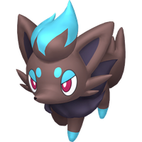 Zorua Chromatique