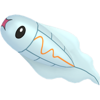 Anchwatt Chromatique