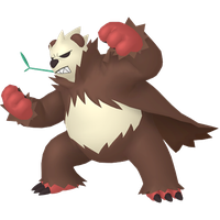 Pandarbare Chromatique