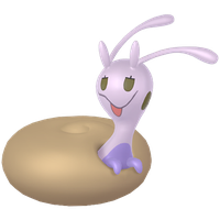 Colimucus Chromatique