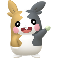 Morpeko Chromatique