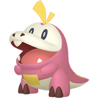 Chochodile Chromatique